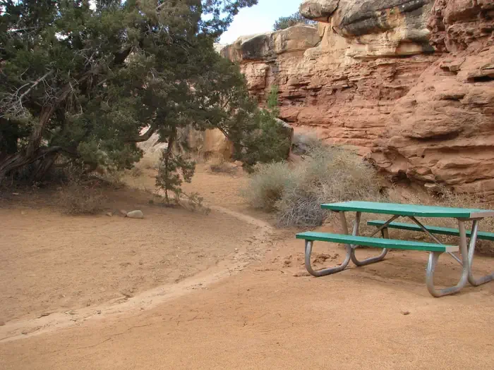 Wooden Shoe Group Campsite