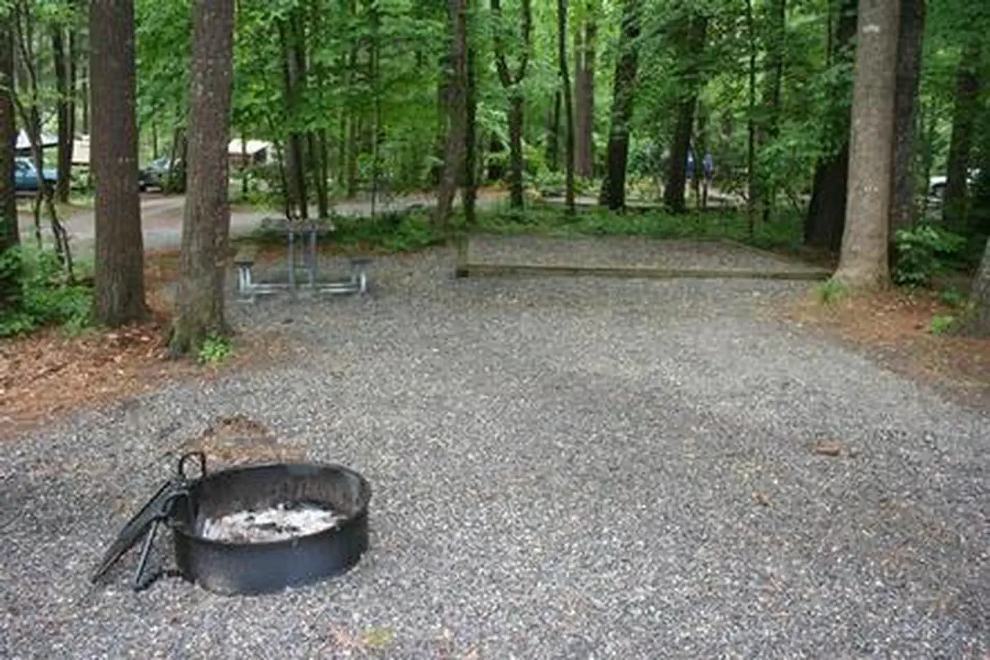 Cataloochee Campground