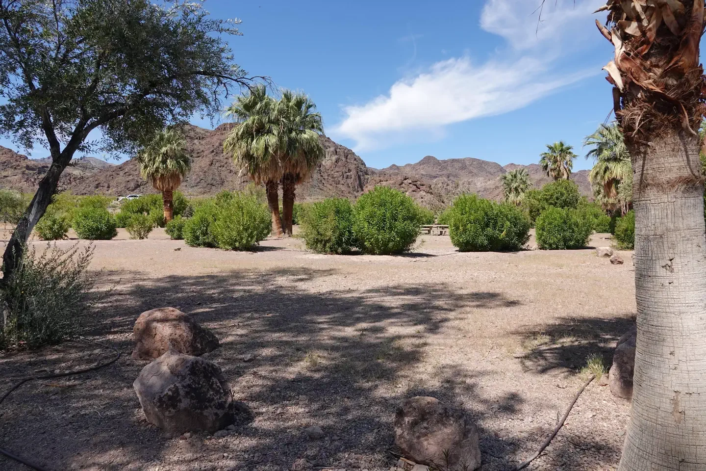 Group Site 2