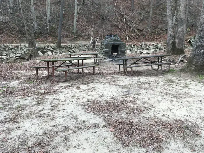 Picnic Grove 08 - 3:00PM to 7:00PM