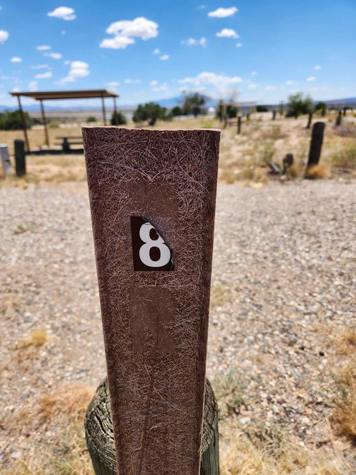 8