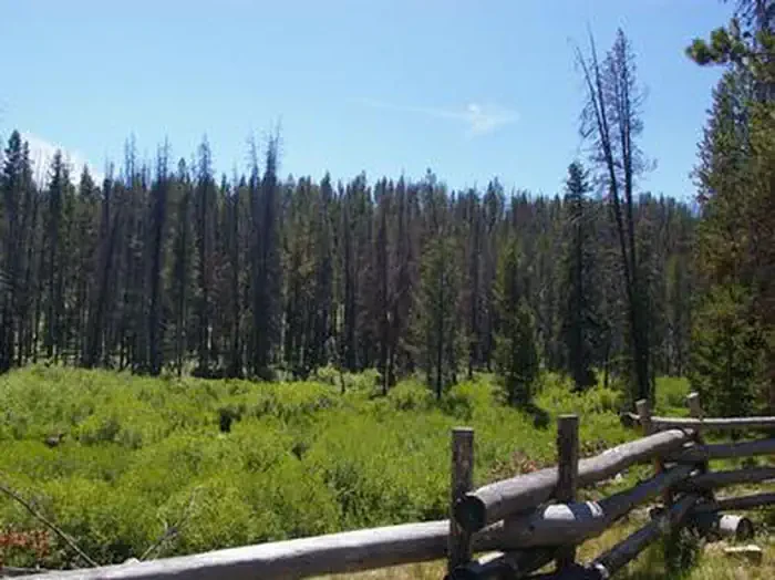 Sheep Trail Campground