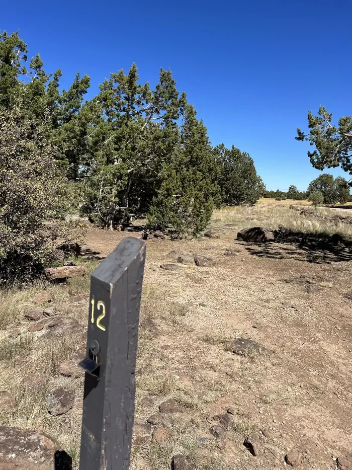 Forked Pine Campground
