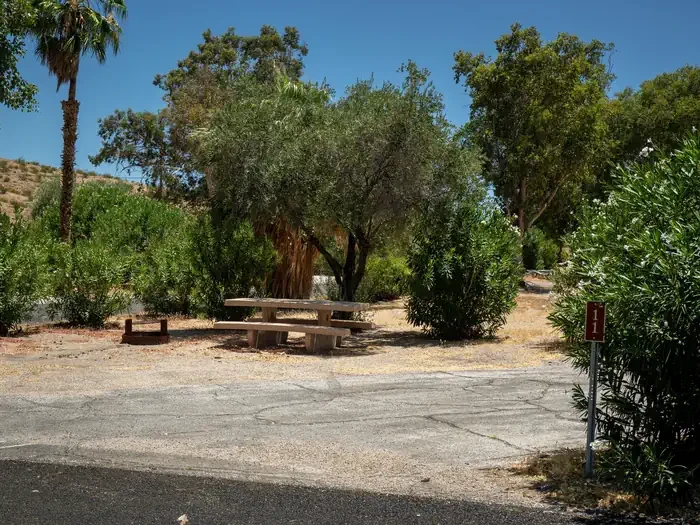 Site 11