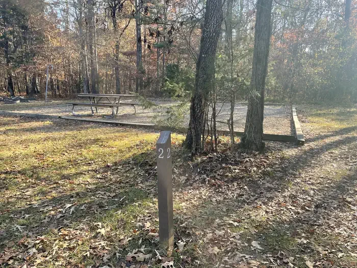 Site 2