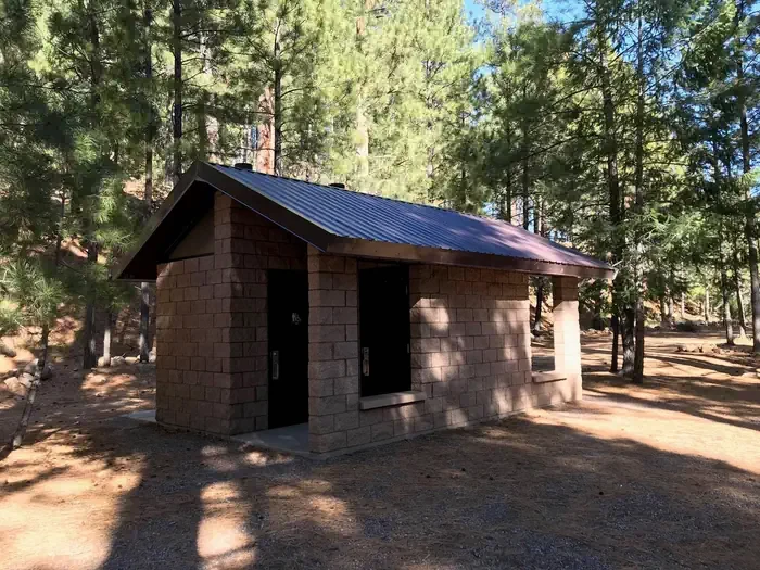 Lower Twilight Group Site
