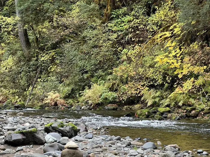 Trout Creek Campground - Willamette (OR)