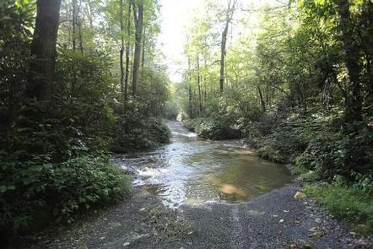 Cove Creek Upper Group Camp
