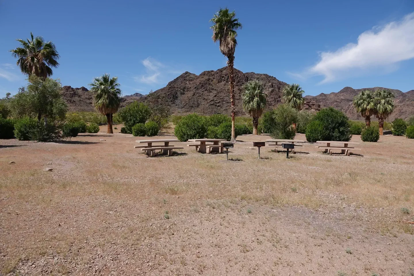 Group Site 4