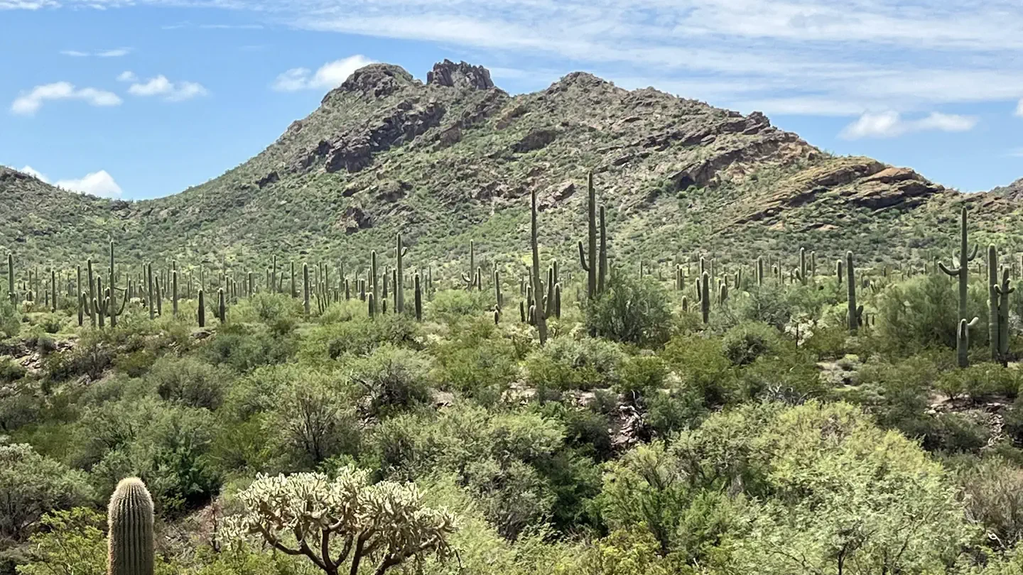 Alamo Canyon Primitive Campground