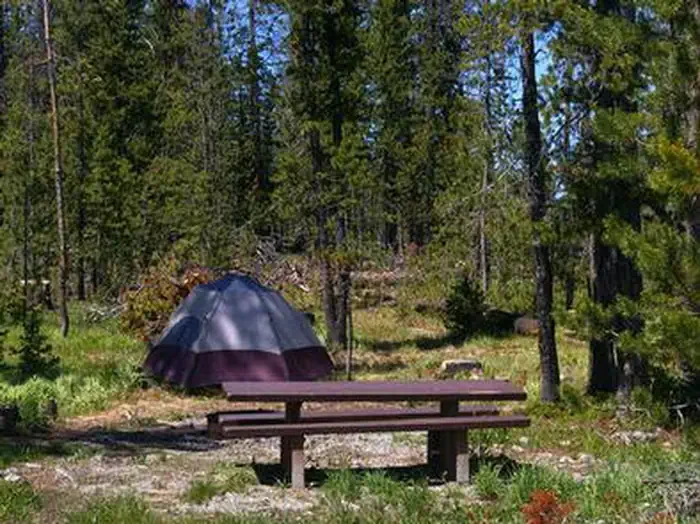 Trap Creek Campground