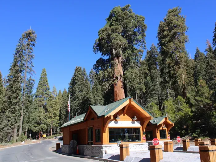 Crystal Springs Campground (CA)