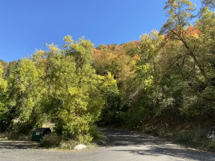 Mueller Park Group Picnic