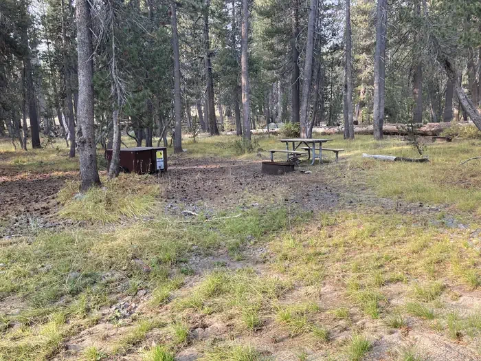 Porcupine Flat Campground