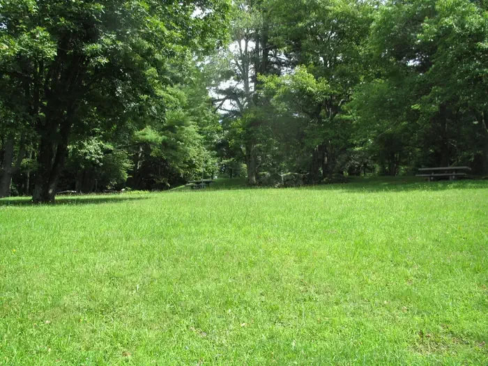 Group Site 1