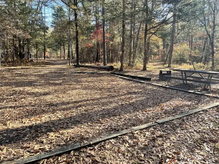 Site 8
