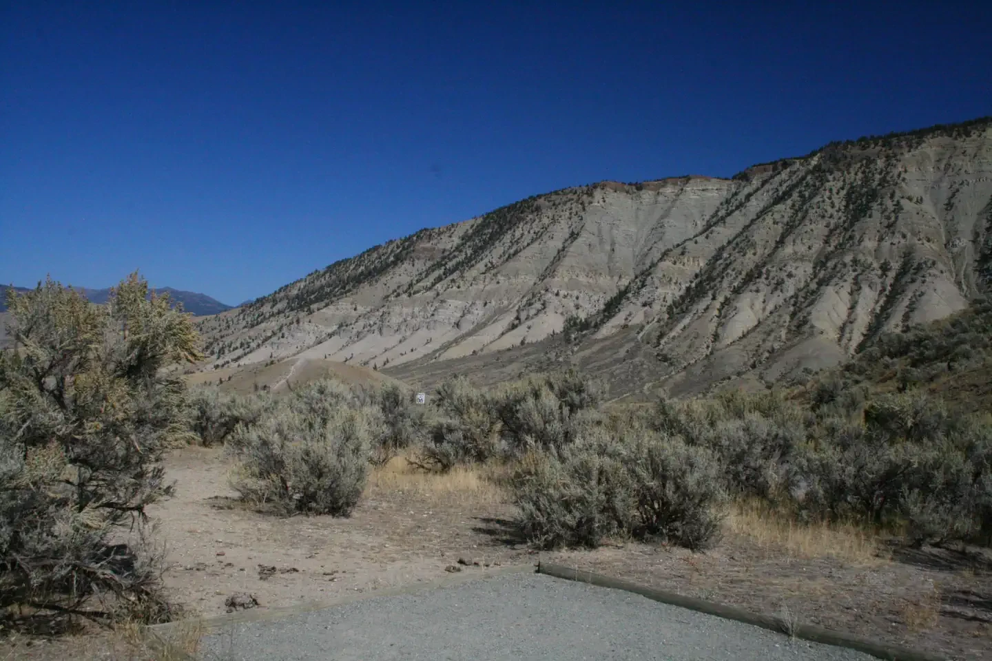 Mammoth site #20