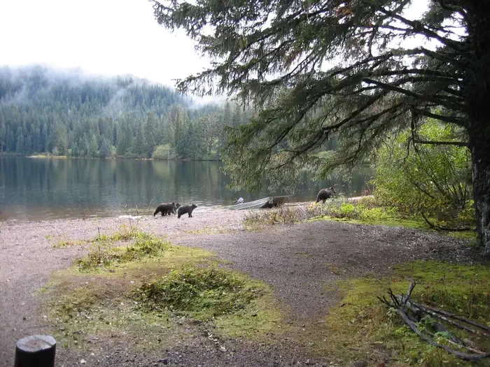 Kook Lake Cabin