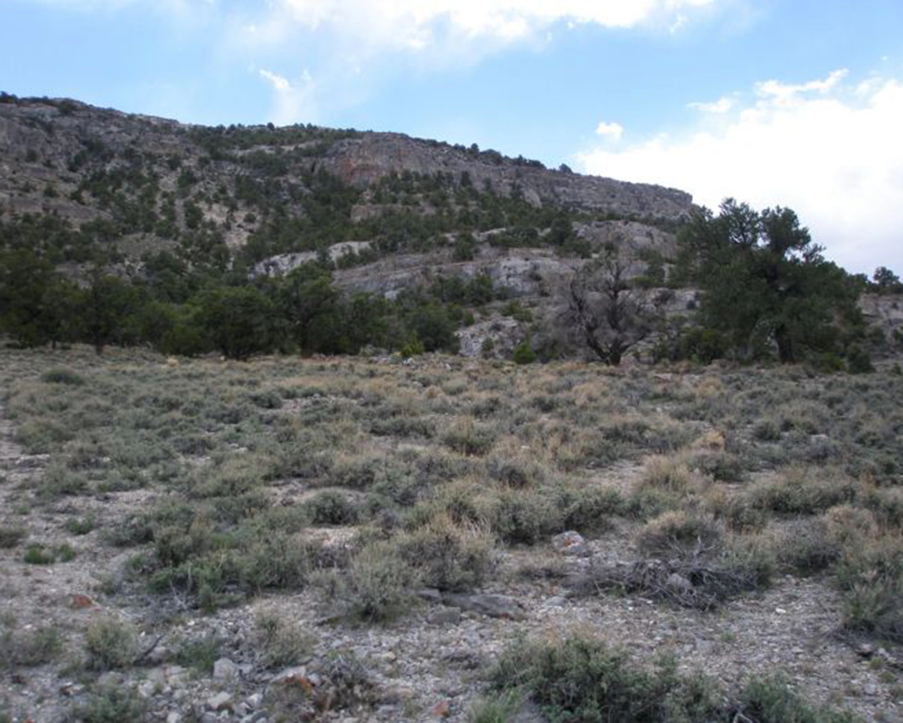 Government Peak Wilderness