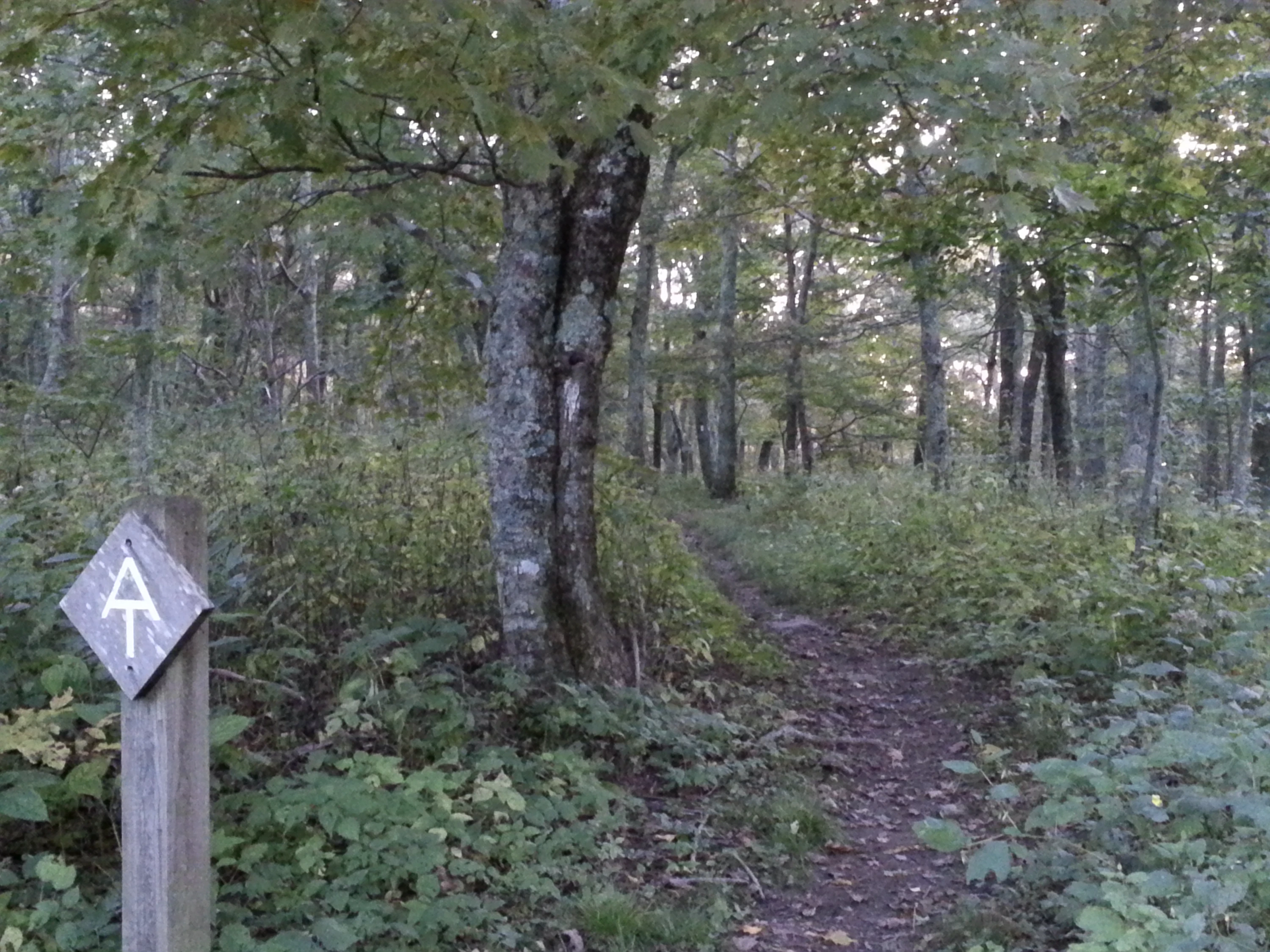 Thunder Ridge Wilderness